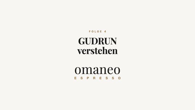 Folge 4: GUDRUN verstehen